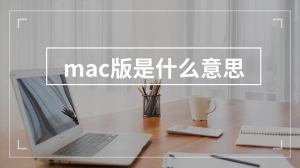 mac版是什么意思