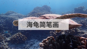 海龟简笔画