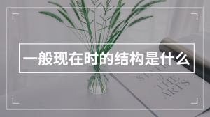 一般现在时的结构是什么