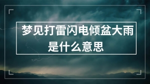 梦见打雷闪电倾盆大雨是什么意思