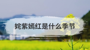 姹紫嫣红是什么季节