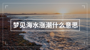 梦见海水涨潮什么意思