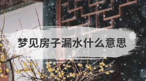 梦见房子漏水什么意思