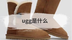 ugg是什么