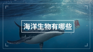 海洋生物有哪些