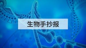 生物手抄报