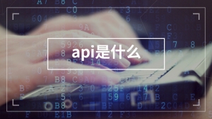 api是什么