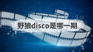 野狼disco是哪一期