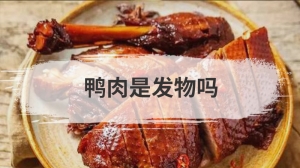 鸭肉是发物吗