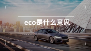 eco是什么意思