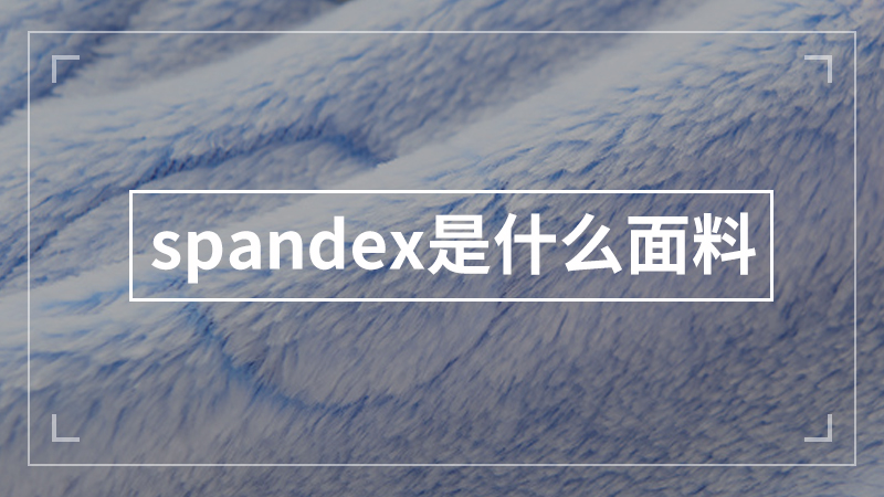 spandex是什么面料