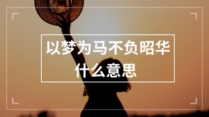 以梦为马不负昭华什么意思