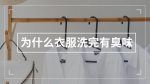 为什么衣服洗完有臭味