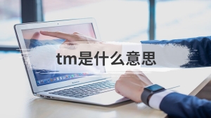 tm是什么意思