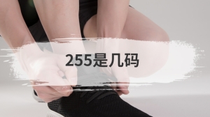 255是几码