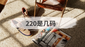 220是几码