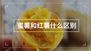 蜜薯和红薯什么区别