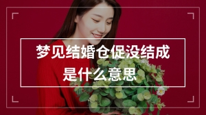 梦见结婚仓促没结成是什么意思