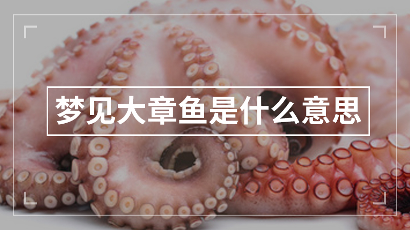 梦见大章鱼是什么意思