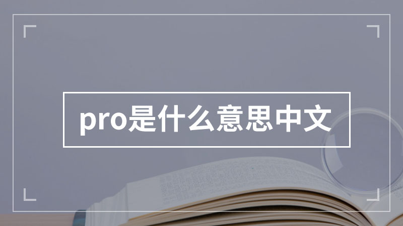 pro是什么意思中文