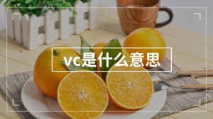 vc是什么意思