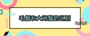 毛蟹和大闸蟹的区别