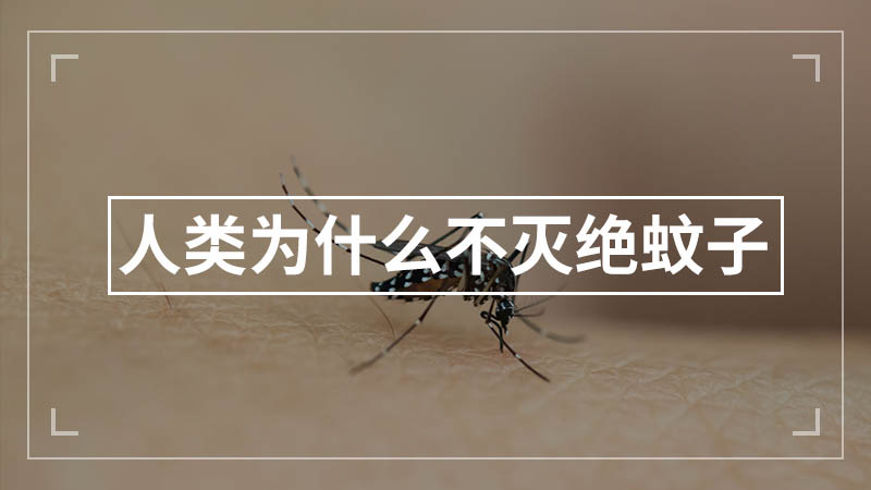 人类为什么不灭绝蚊子