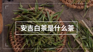 安吉白茶是什么茶