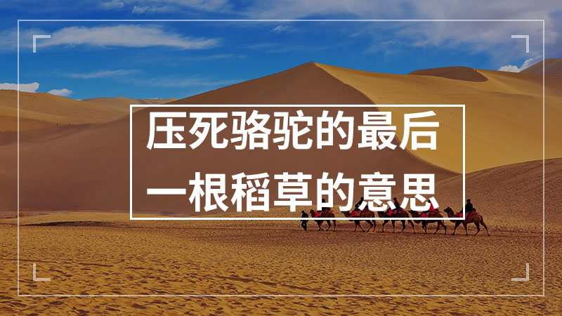 压死骆驼的最后一根稻草的意思
