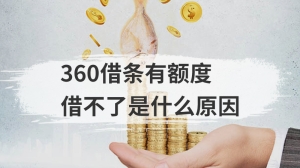 360借条有额度借不了是什么原因