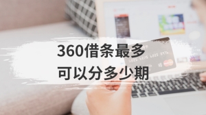 360借条最多可以分多少期