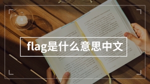 flag是什么意思中文