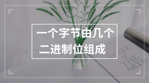 一个字节由几个二进制位组成