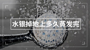 水银掉地上多久蒸发完