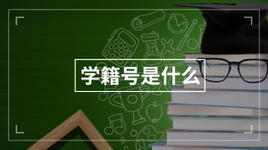 学籍号是什么