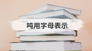 吨用字母表示