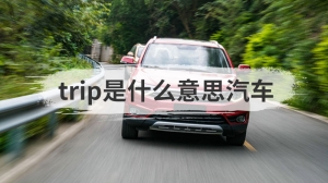 trip是什么意思汽车