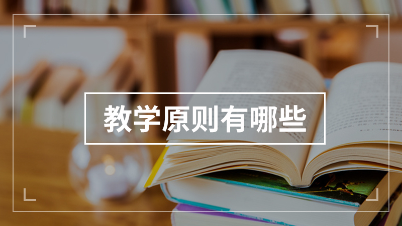 教学原则有哪些