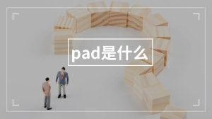 pad是什么