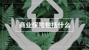 商业保险包括什么