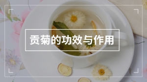 贡菊的功效与作用