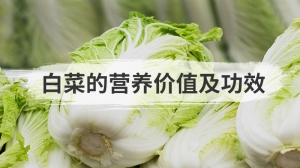 白菜的营养价值及功效