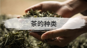 茶的种类