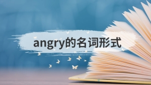 angry的名词形式