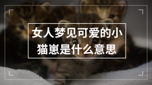 女人梦见可爱的小猫崽是什么意思