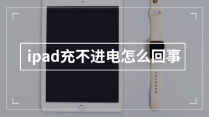 ipad充不进电怎么回事