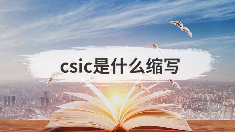 csic是什么缩写