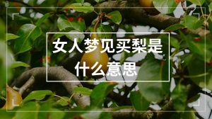 女人梦见买梨是什么意思