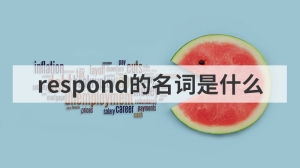 respond的名词是什么