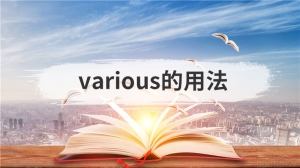 various的用法